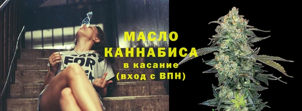 гашик Козельск