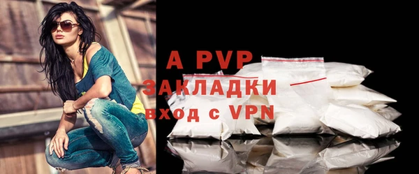 гашик Козельск