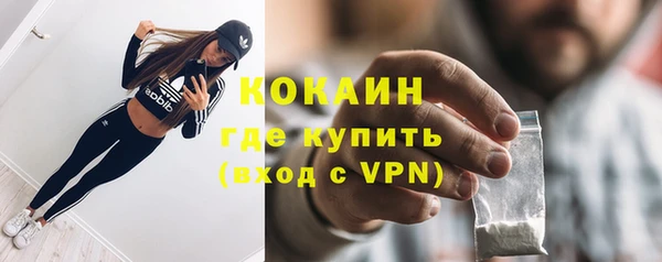 гашик Козельск
