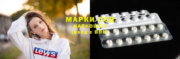гашик Козельск