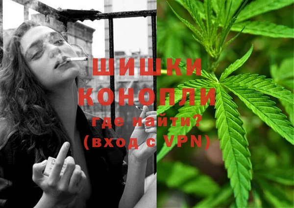 гашик Козельск