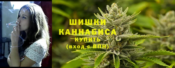 мдпв Козловка