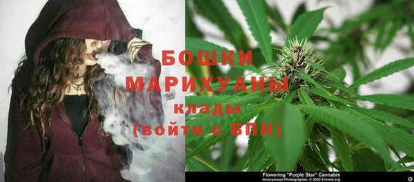 PSILOCYBIN Киренск
