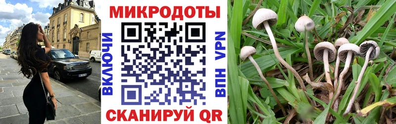 Псилоцибиновые грибы Psilocybe  ссылка на мегу ССЫЛКА  Кораблино 